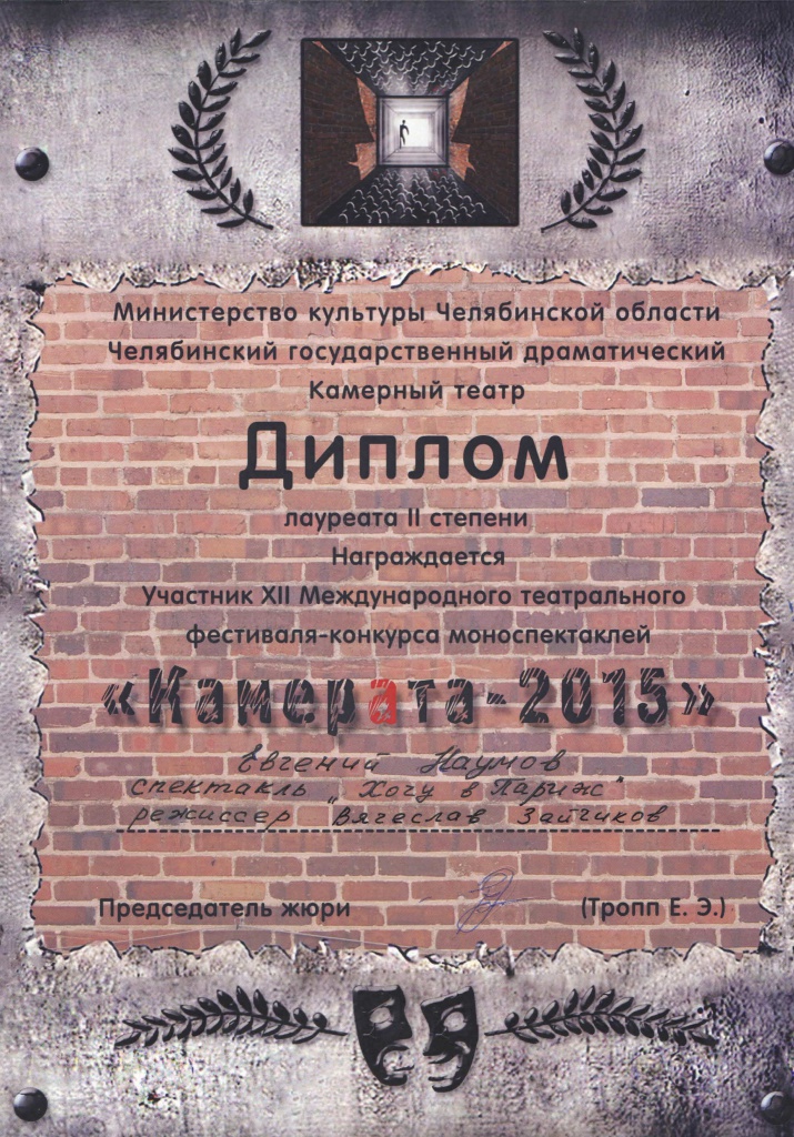 diplom kamerata.jpg diplom kamerata.jpg